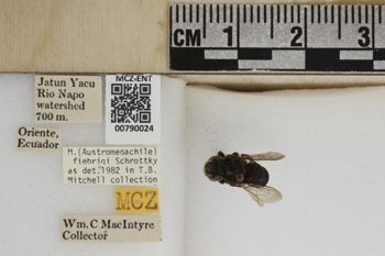 Media type: image;   Entomology 790024 Aspect: Labels